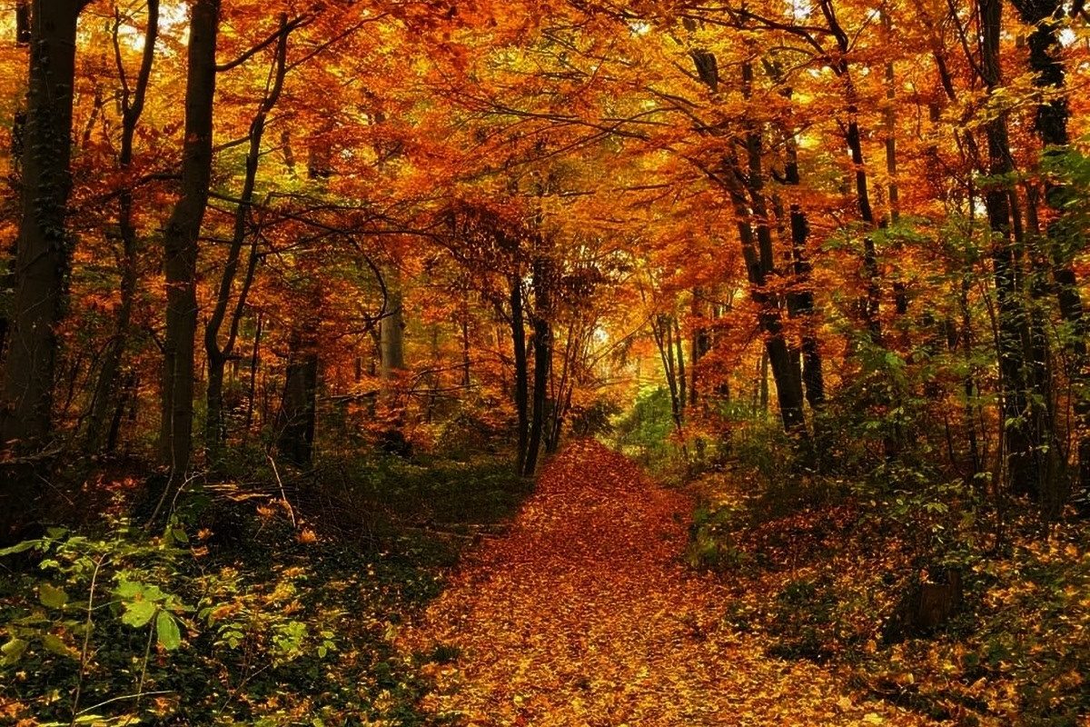 123995276_177010193976215_8173301946510611877_o