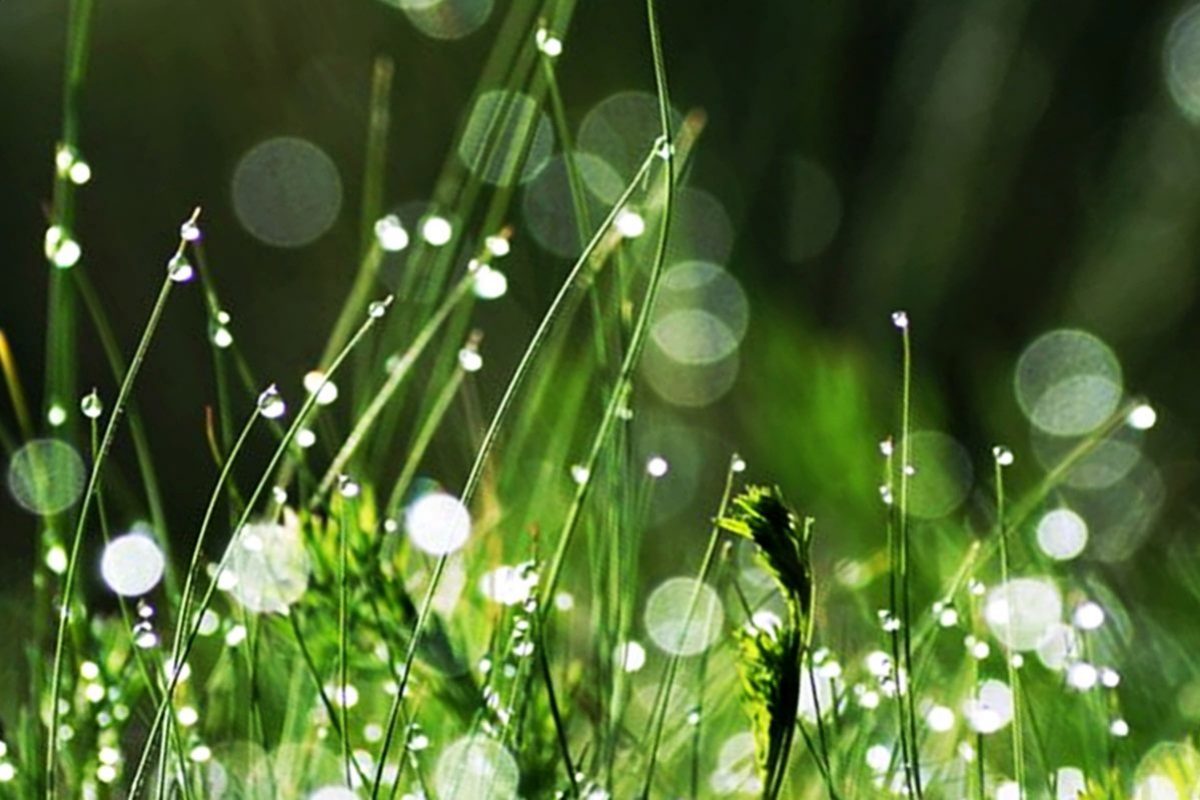 95571678_120704349606800_1320105468835659776_o